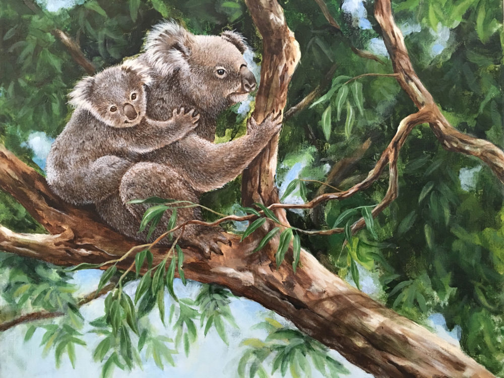 "Koala Cuddle"